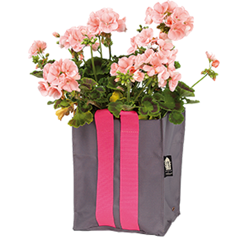 Nelson Garden  Plantkasse Blueberry Small Antracit  10l