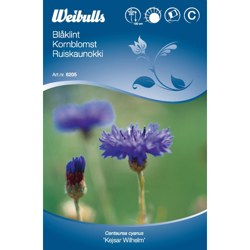 Weibulls Weibulls Blåklint   - centaurea cyanus