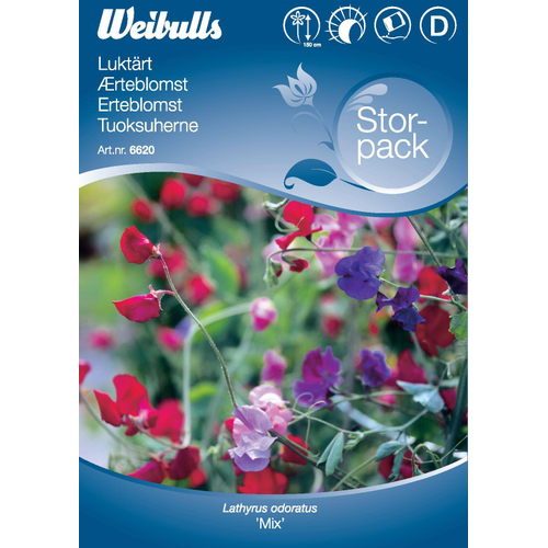 Weibulls Weibulls Luktärt, storportion - lathyrus odoratus 6620