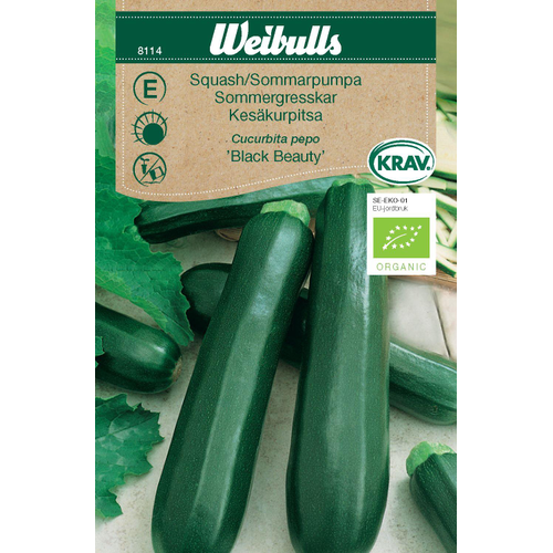 Weibulls Weibulls Squash-sommarpumpa - cucurbita pepo 8114, KRAV