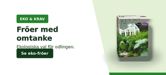 Fröer med omtanke