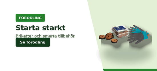 Starta starkt