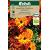 Weibulls Ringblomma   - calendua officinalis Krav 6116 Touch of red/orange