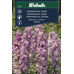 Weibulls Praktriddarsporre - delphinium 6345, Nyhet