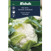 Weibulls Kål, blomkål  - brassica oleracea 7911, Nyhet