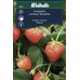 Weibulls Jordgubbe  - fragaria x ananassa 8226