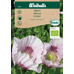 Weibulls Vallmo - papaver somniferum Unikko 7065. Nyhet 2023