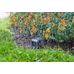 Gardena Smart Sensor 19040-20 
