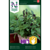 Nelson Garden Kanelbasilika - 'cinnamon' - ocimum basilicum l. 90086 Nelson Garden Kanelbasilika - 'cinnamon' - ocimum basilicum l. 90086