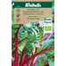 Weibulls Mangold, röd  Rhubarb Chard - beta vulgaris 7839 KRAV