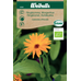 Weibulls Ringblomma - calendula officinalis 6080, Krav, Nyhet