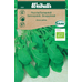 Weibulls Rucola/senapskål, krav - eruca sativa Weibulls Rucola/senapskål, krav - eruca sativa