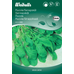 Rucola/Senapskål, KRAV - Eruca sativa - 